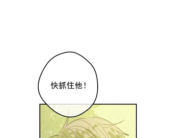 第 166 页