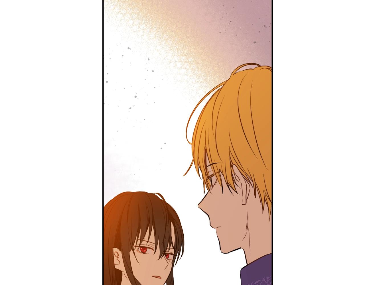 第 116 页