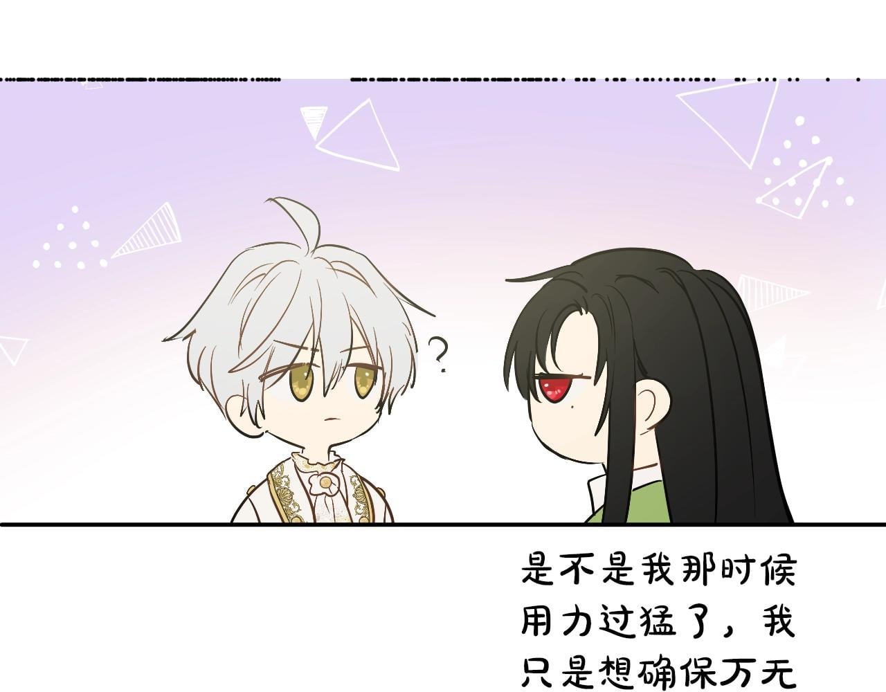 第 111 页