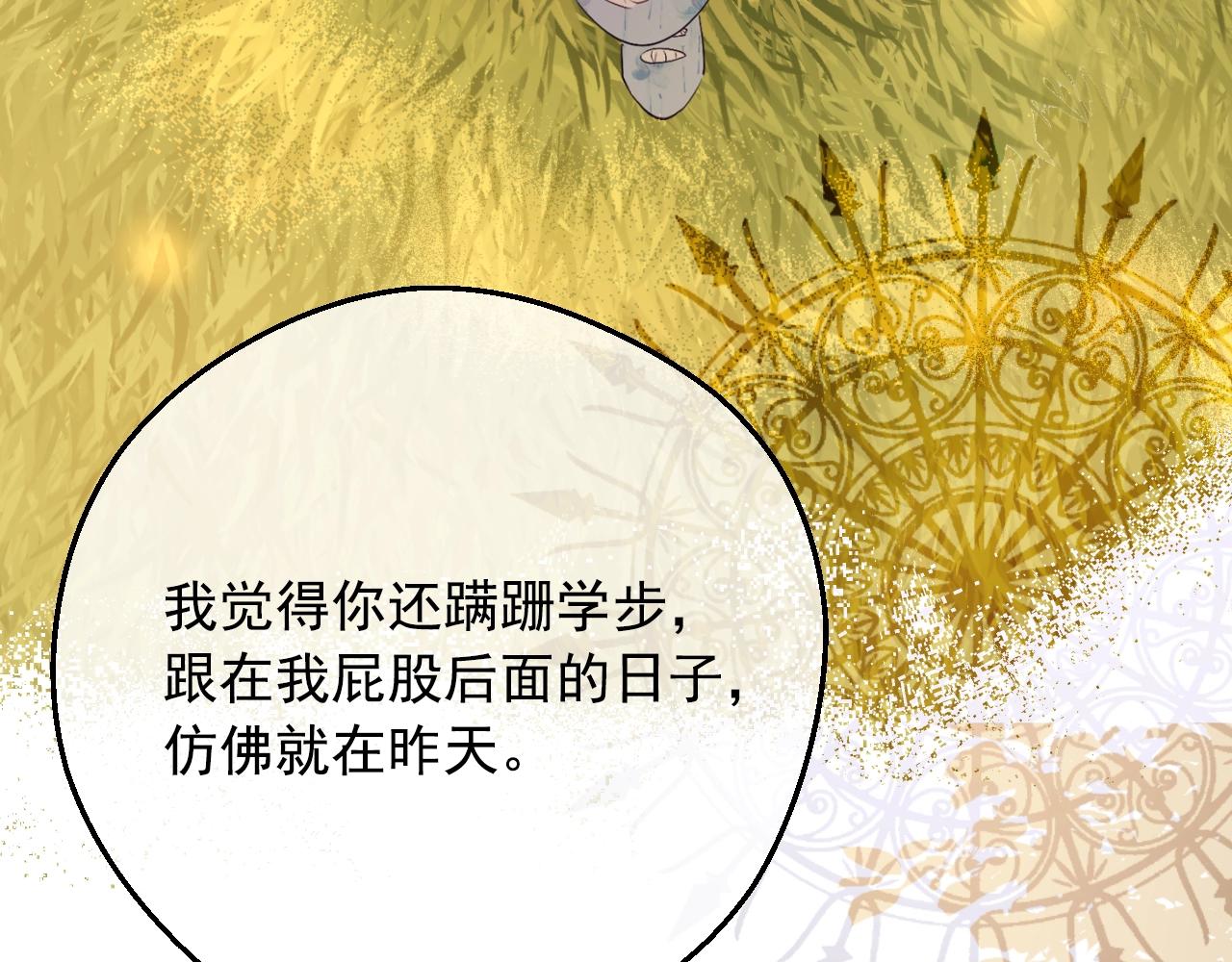 第 106 页