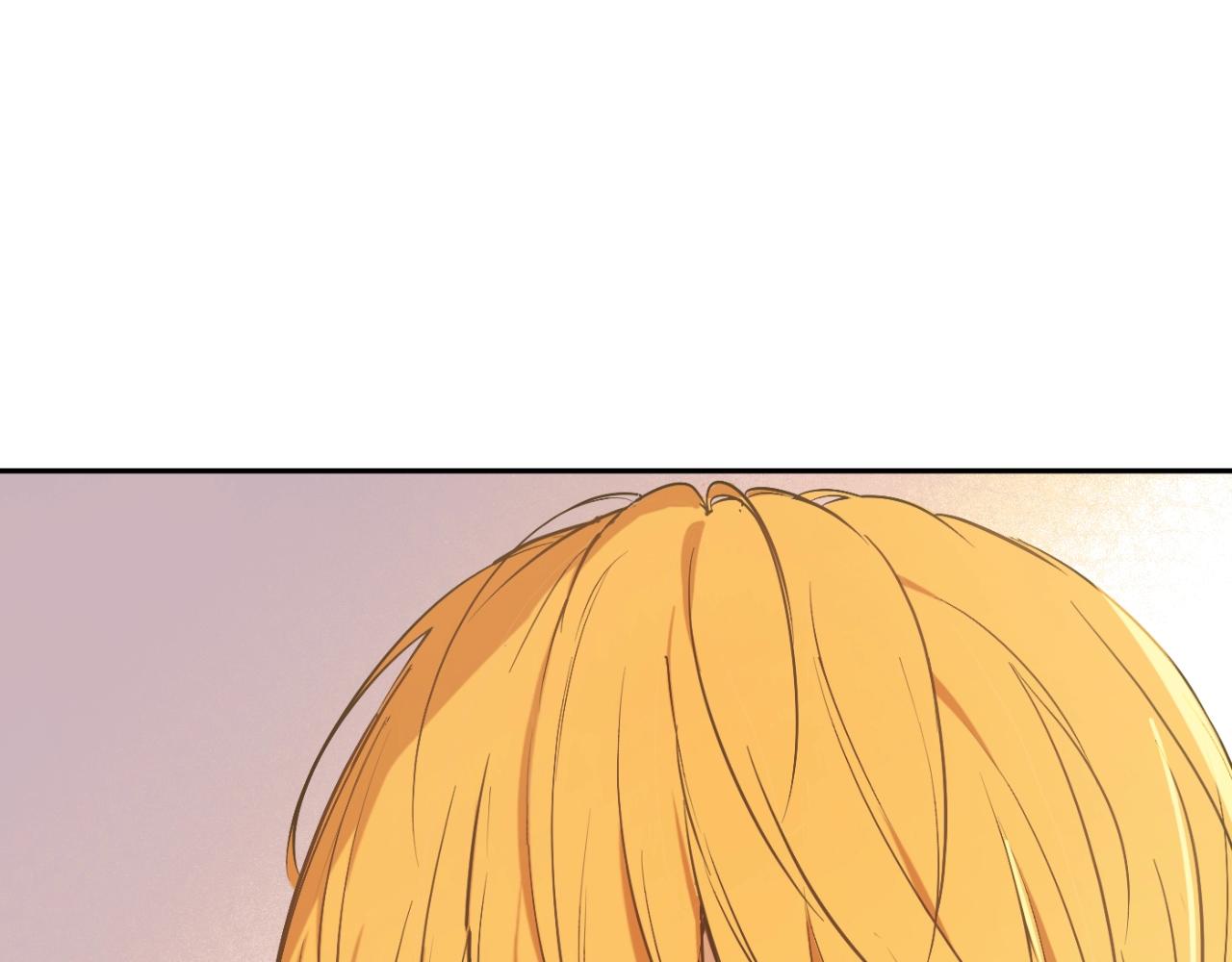 第 243 页