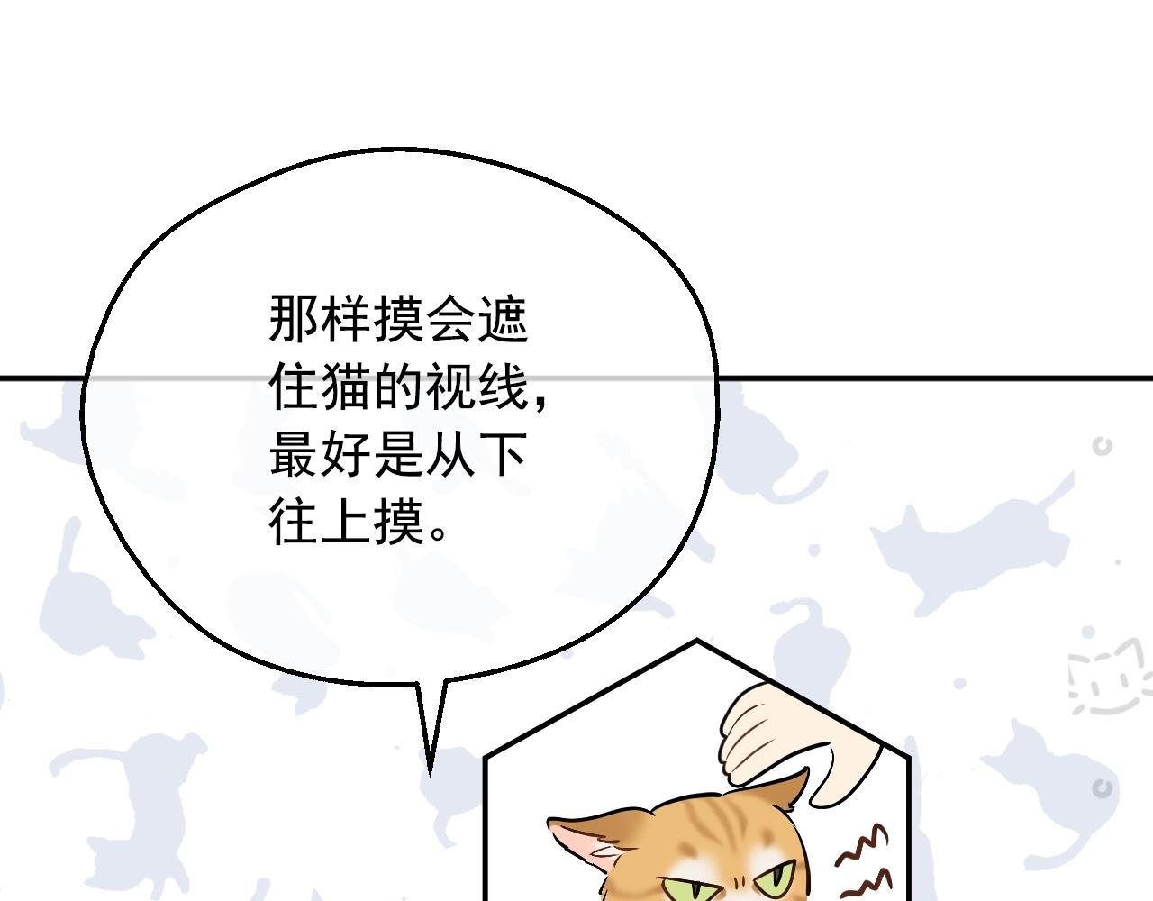 第 116 页