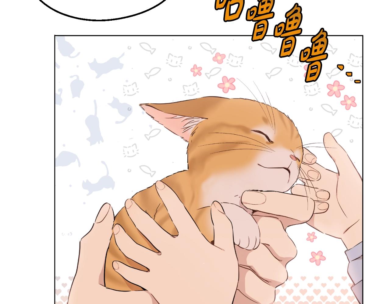第 119 页