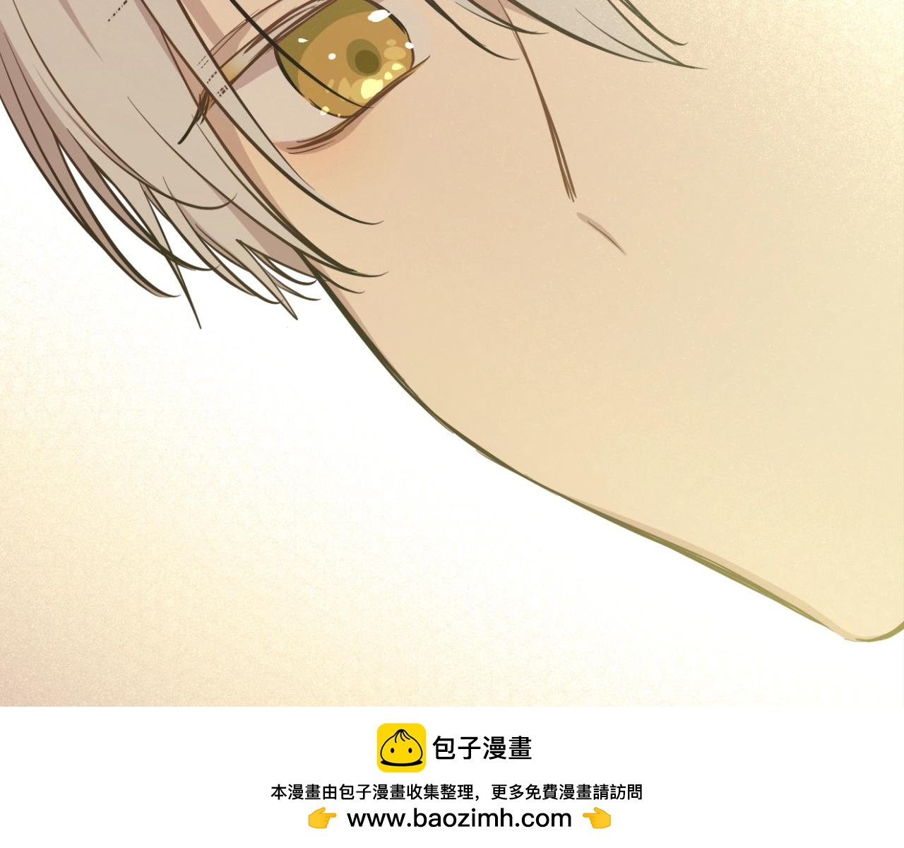 第 100 页