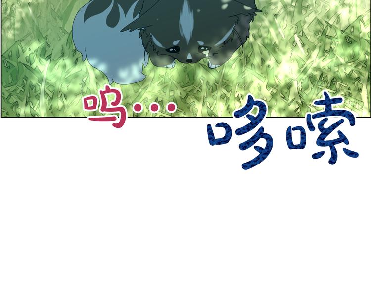 第 75 页