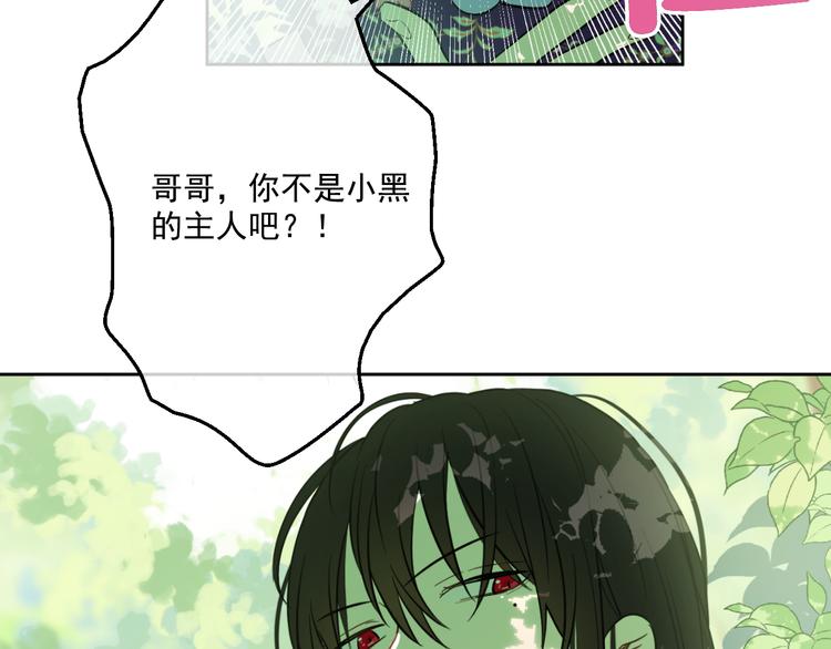 第 79 页