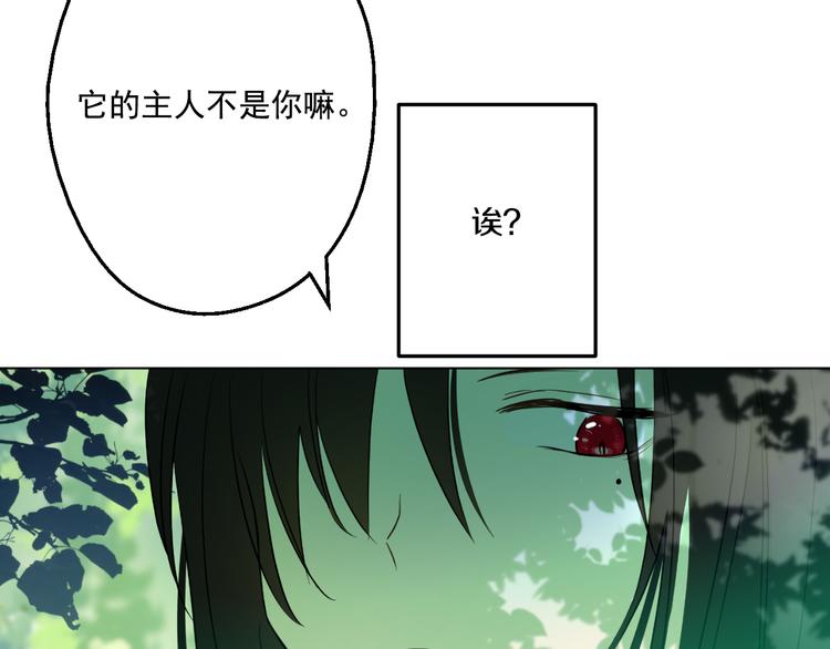 第 81 页