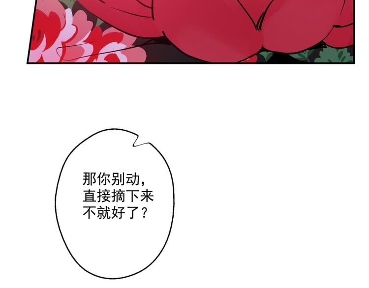 第 219 页