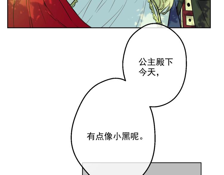 第 216 页