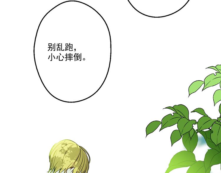 第 146 页