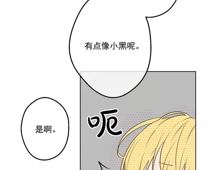 第 153 页