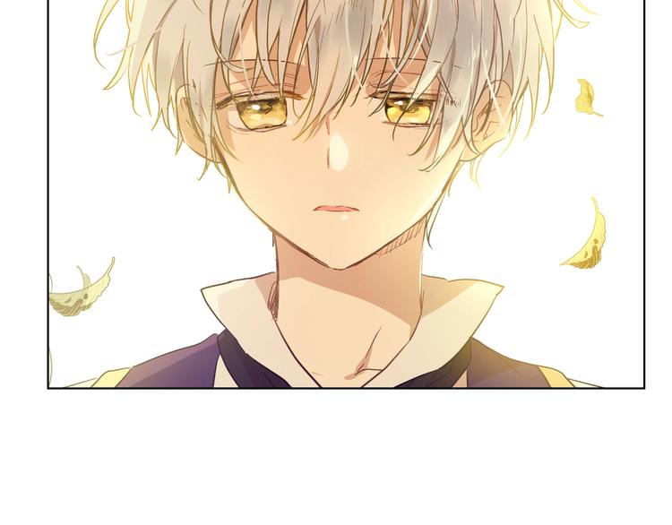 第 100 页