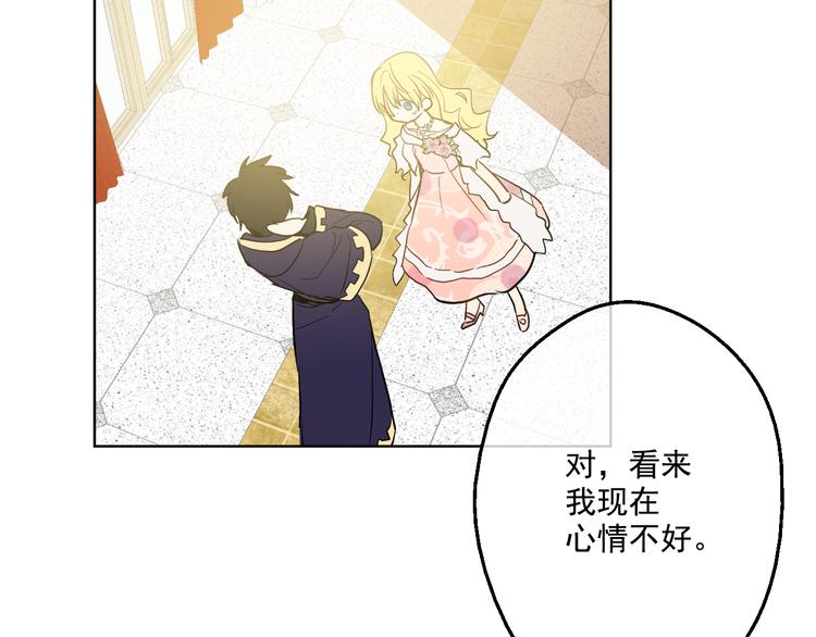 第 111 页