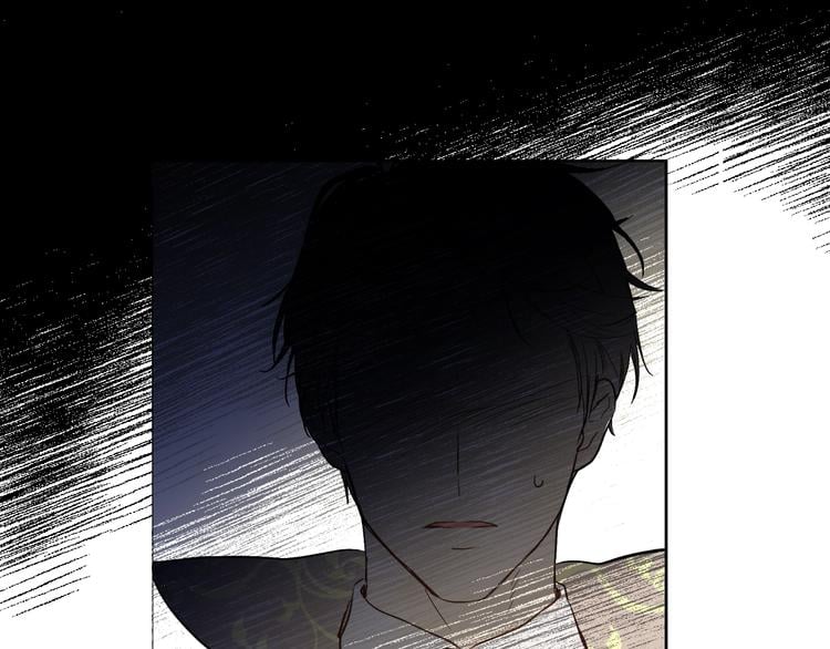 第 111 页
