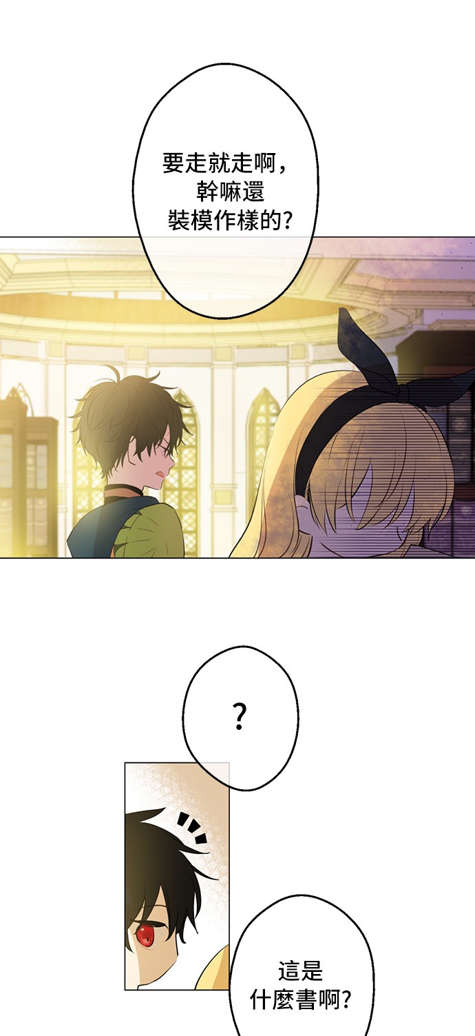 第 31 页