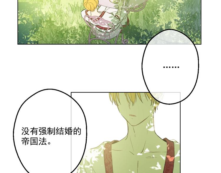 第 113 页