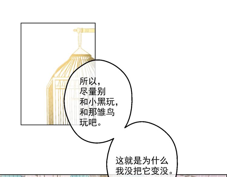 第 87 页