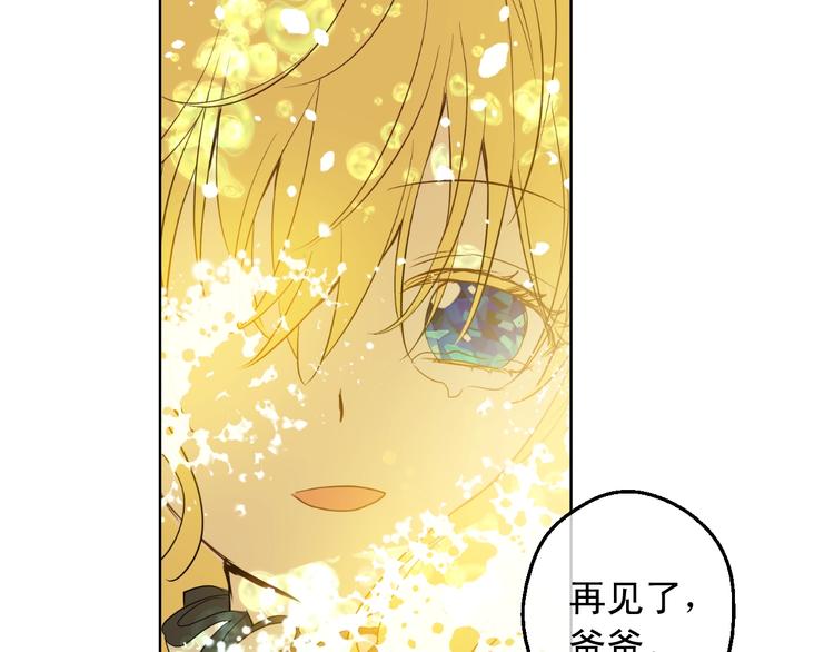 第 111 页