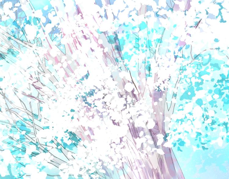 第 85 页