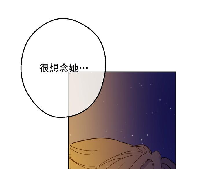 第 113 页