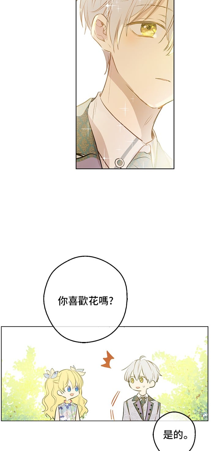 第 50 页