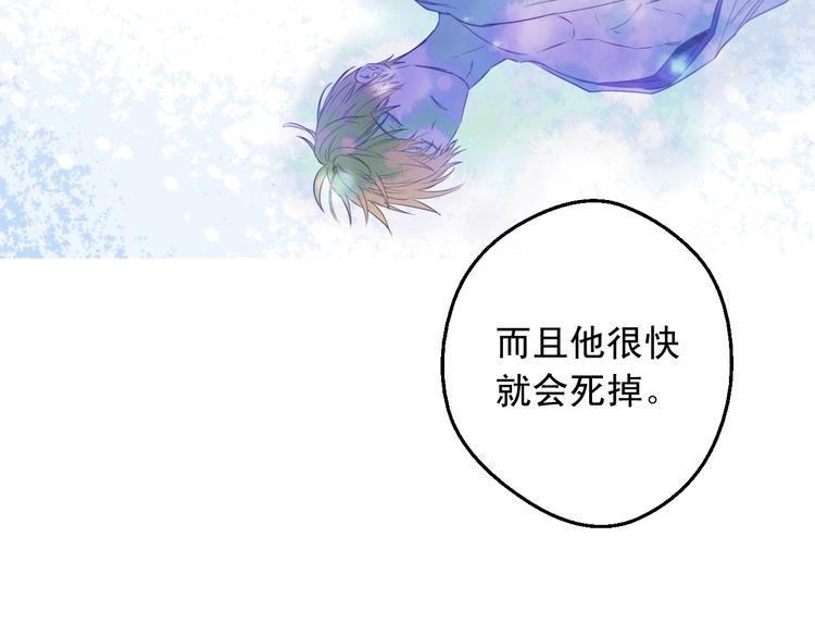 第 81 页