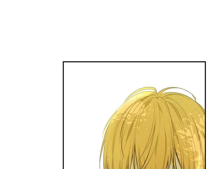 第 117 页