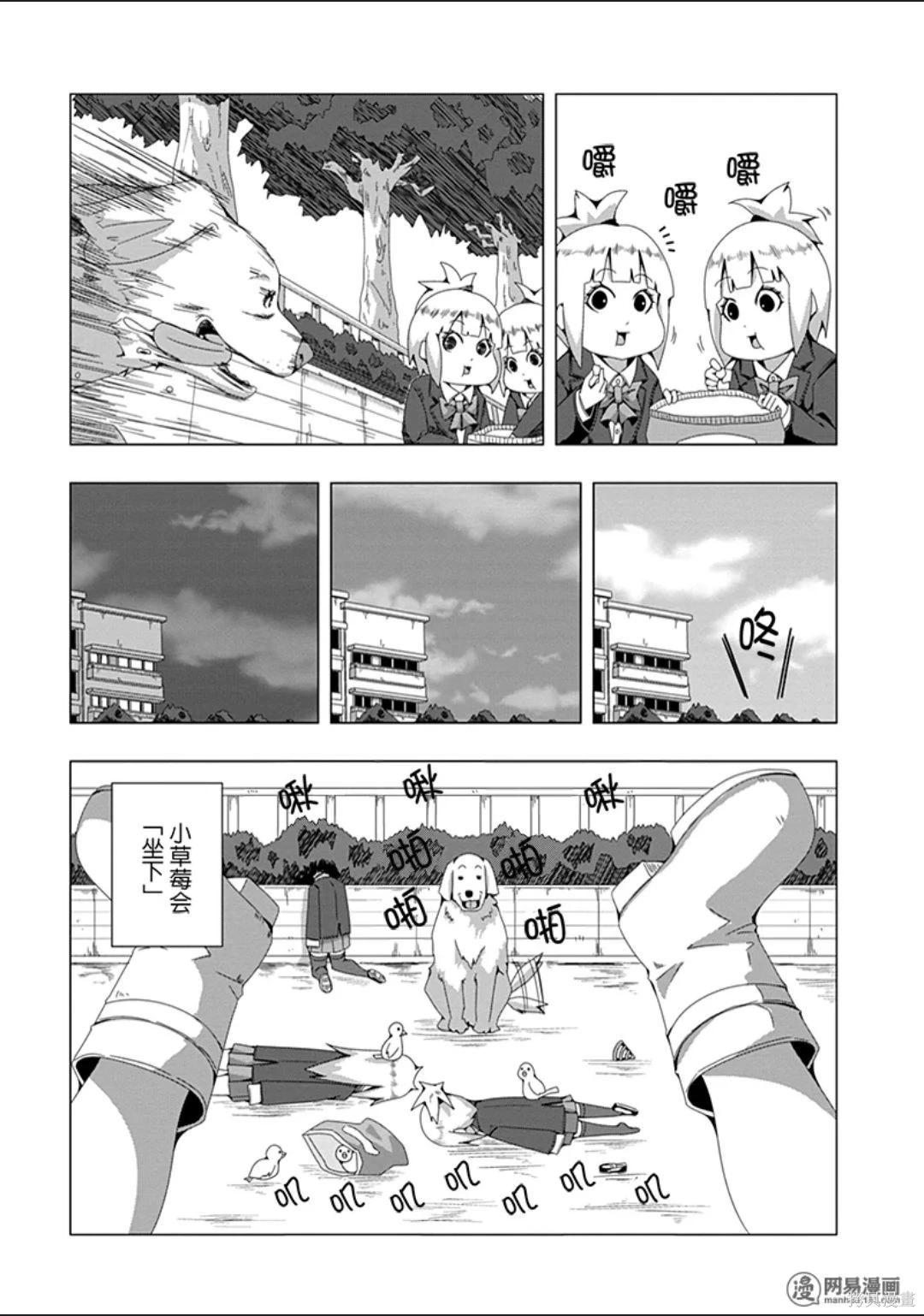 第 116 页