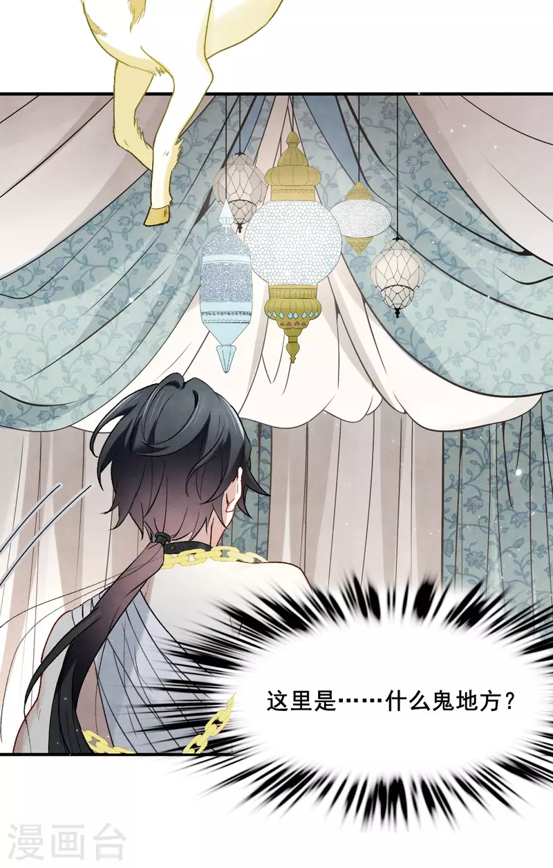 第 31 页