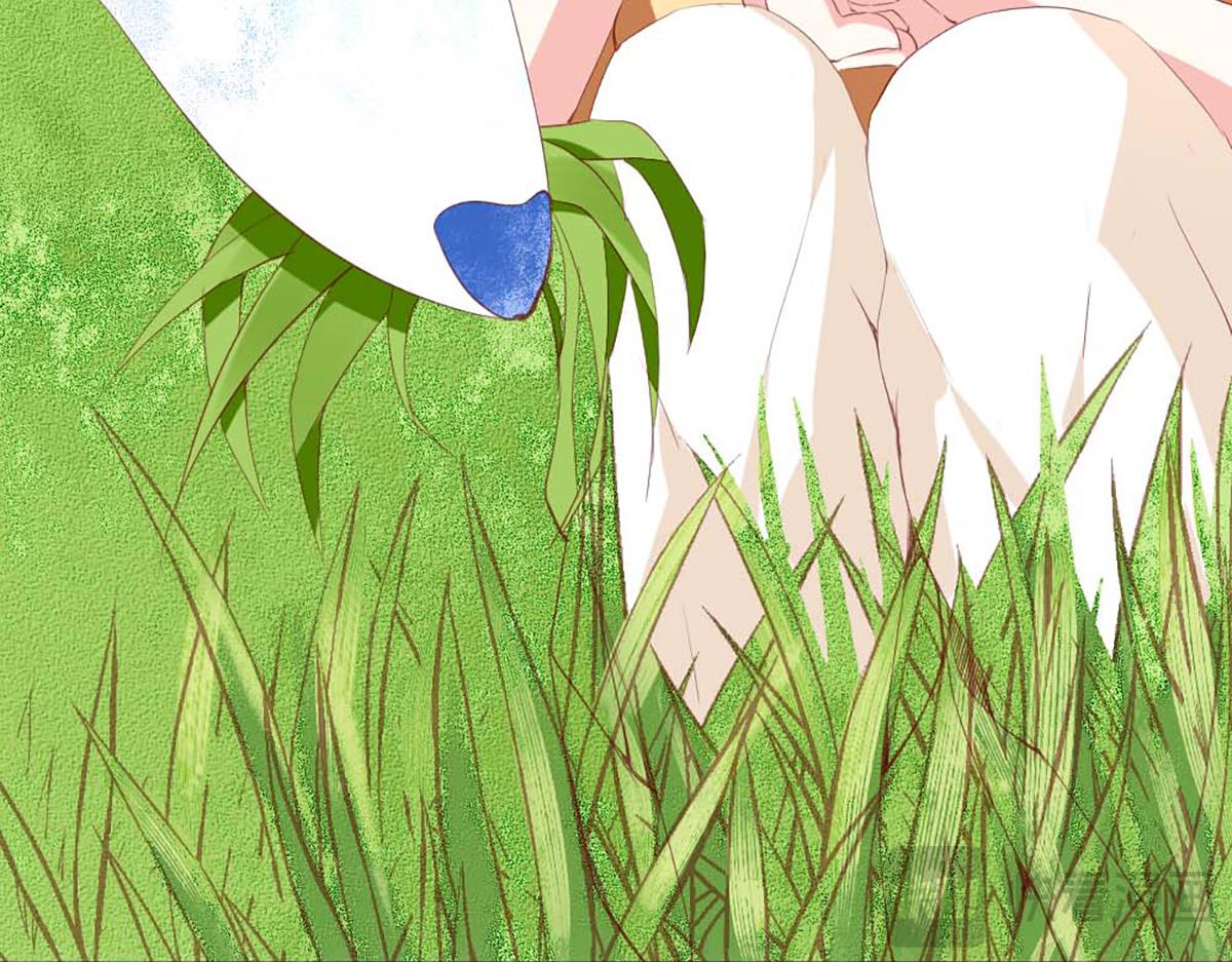 第 136 页