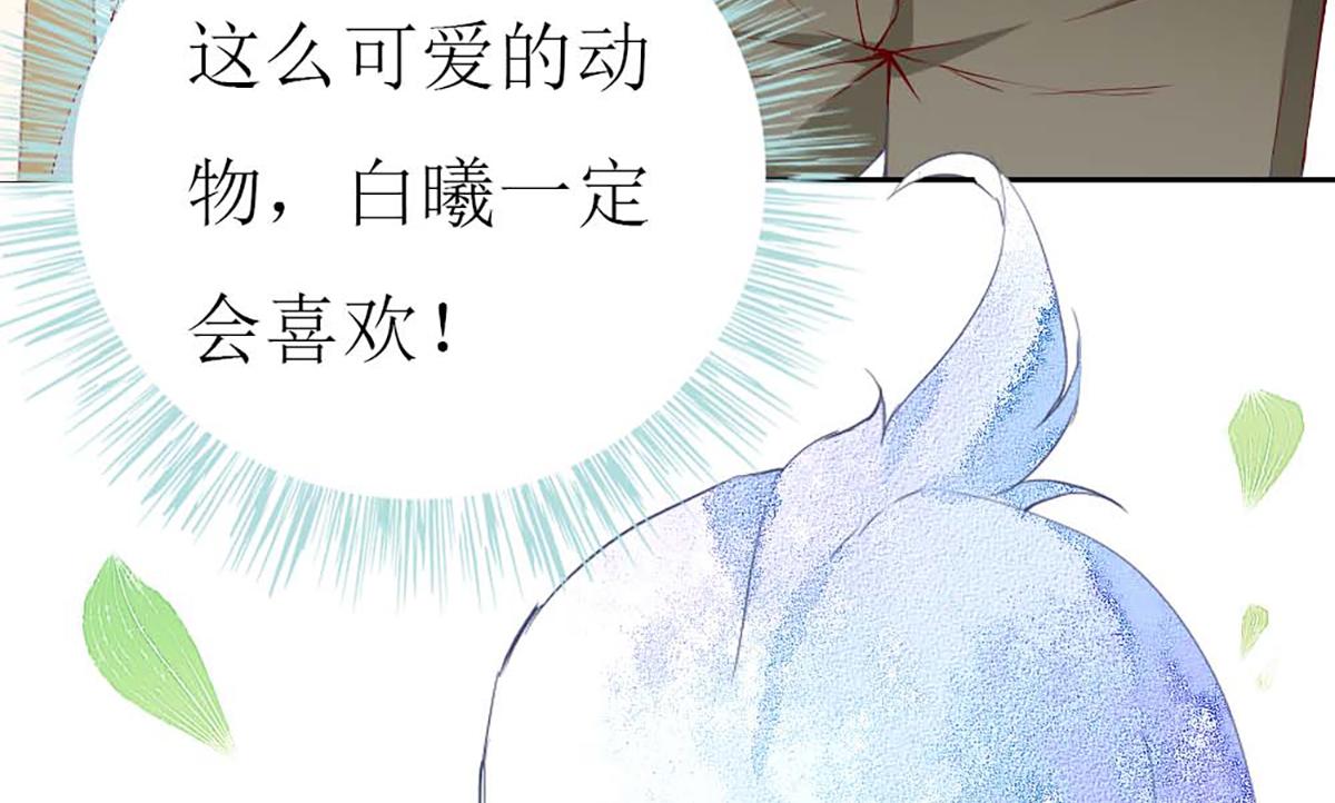 第 60 页