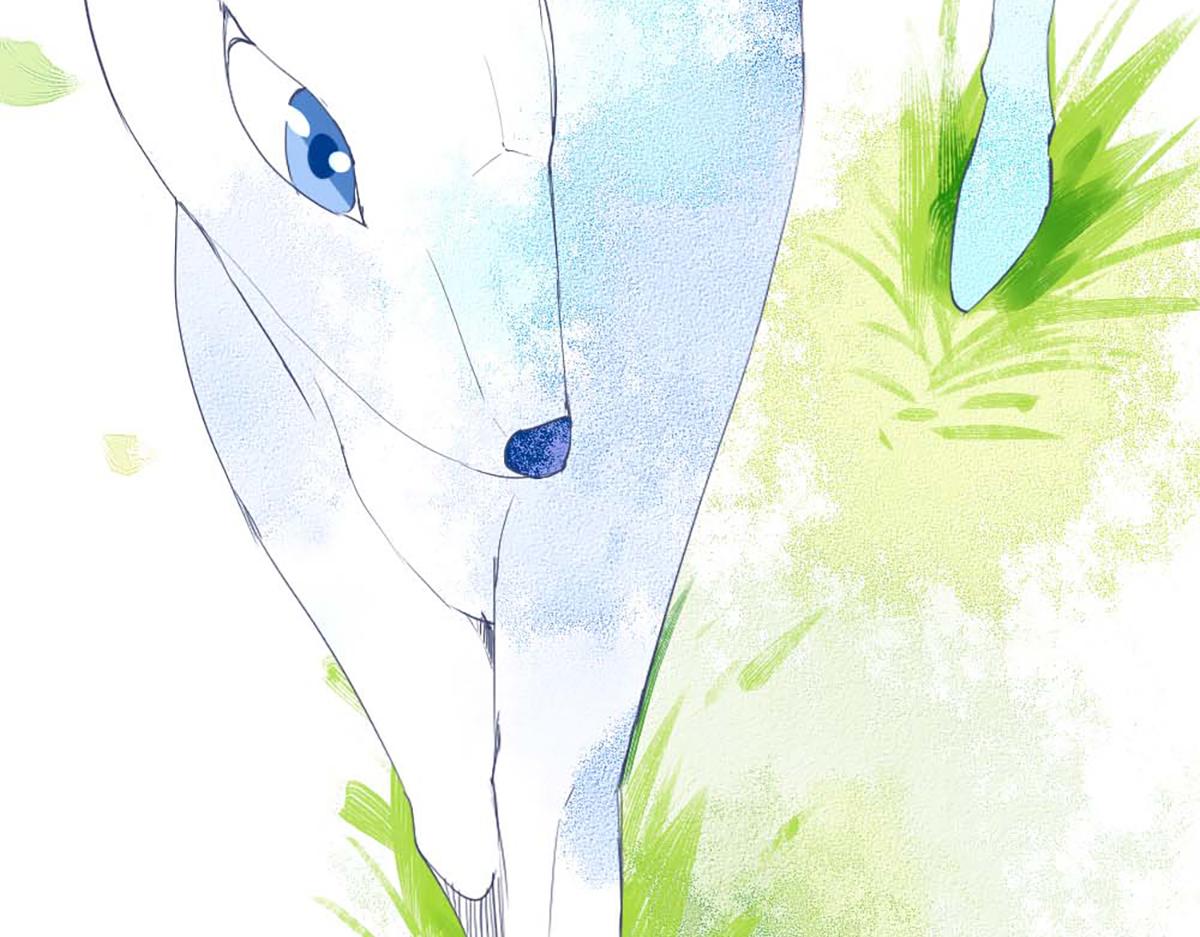 第 62 页