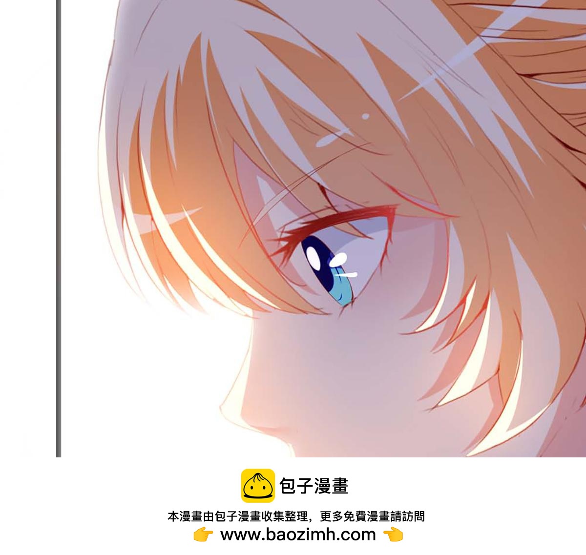 第 100 页