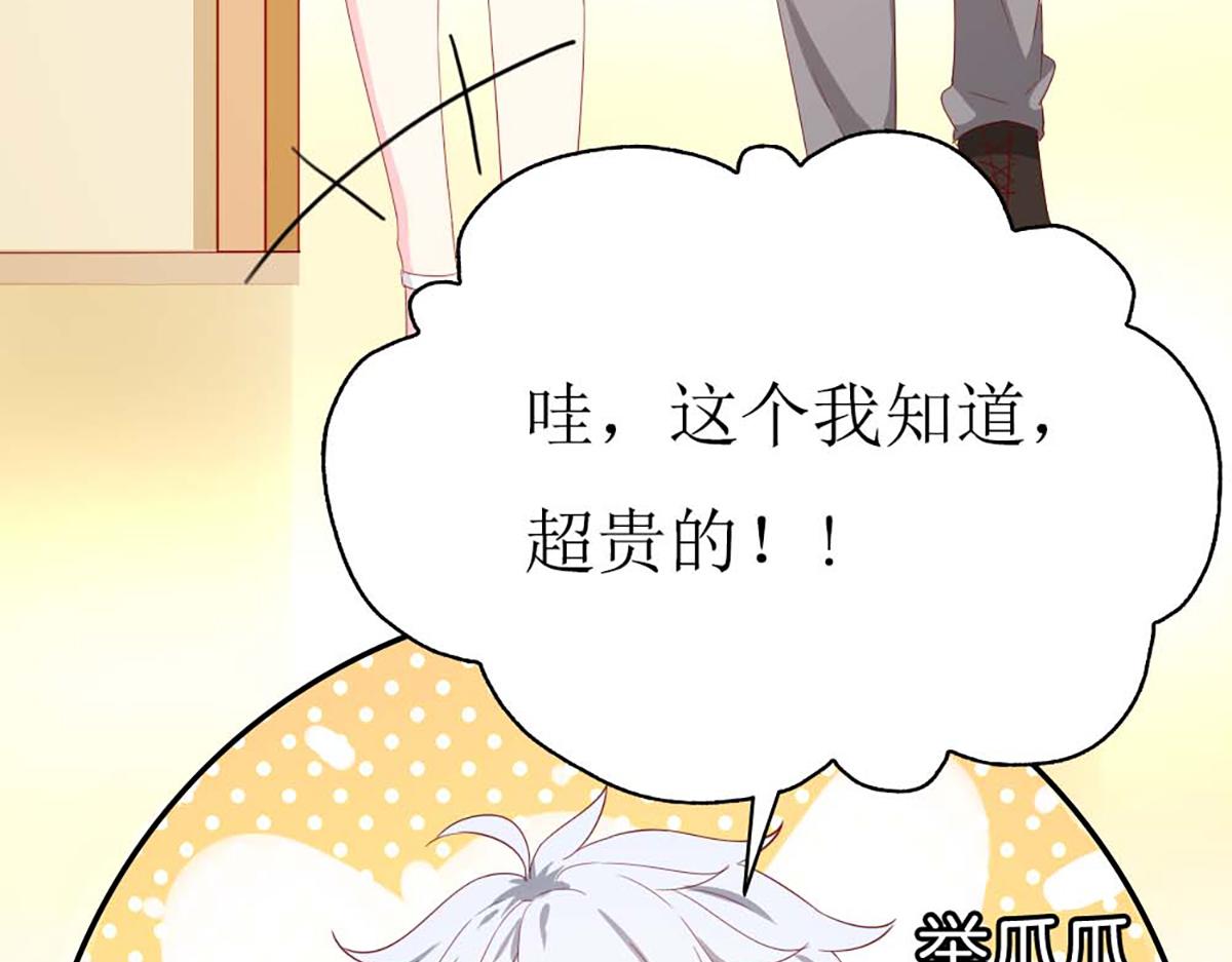 第 51 页