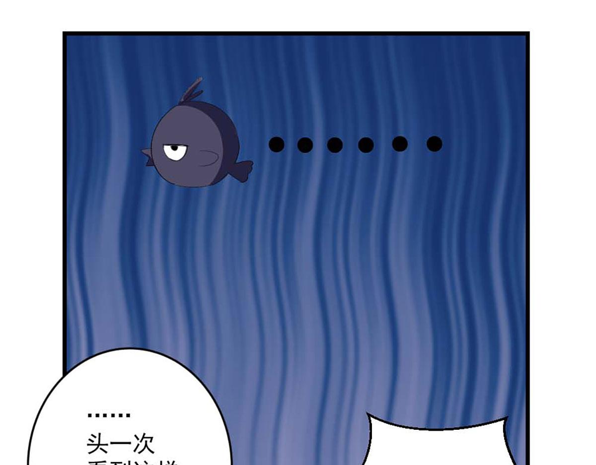 第 64 页