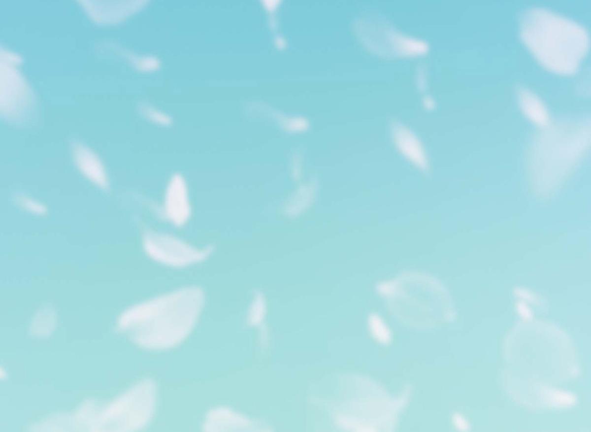 第 74 页