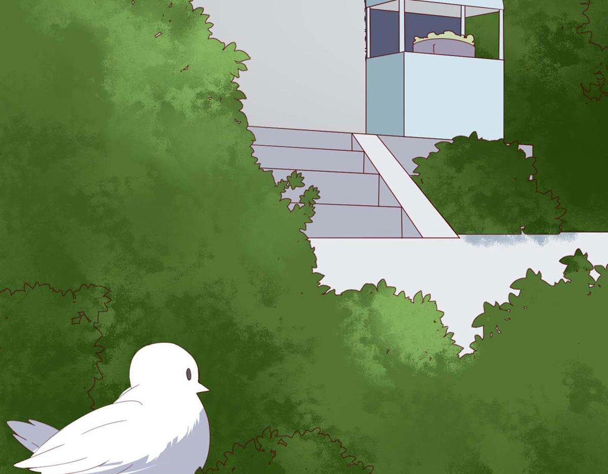 第 41 页