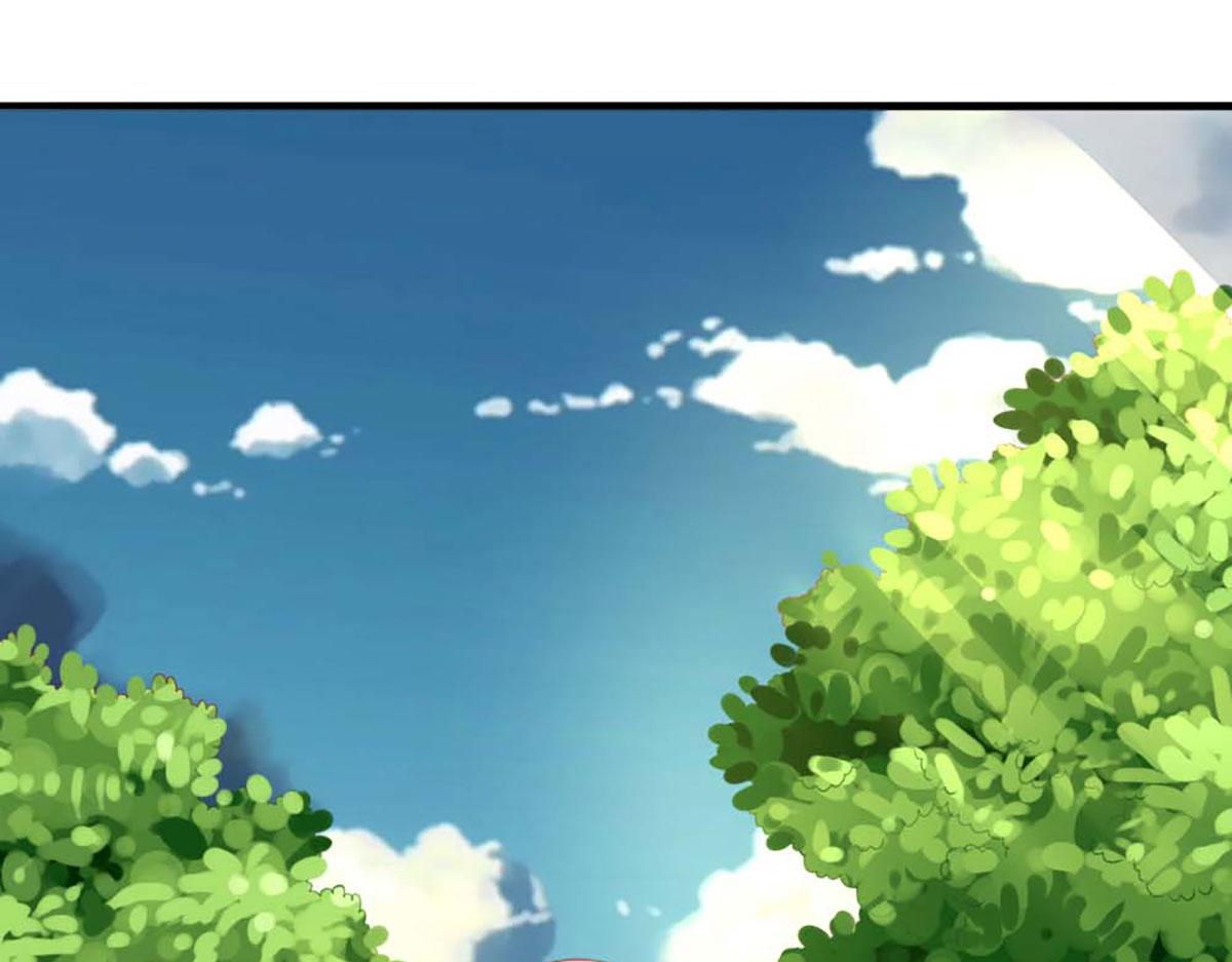 第 113 页