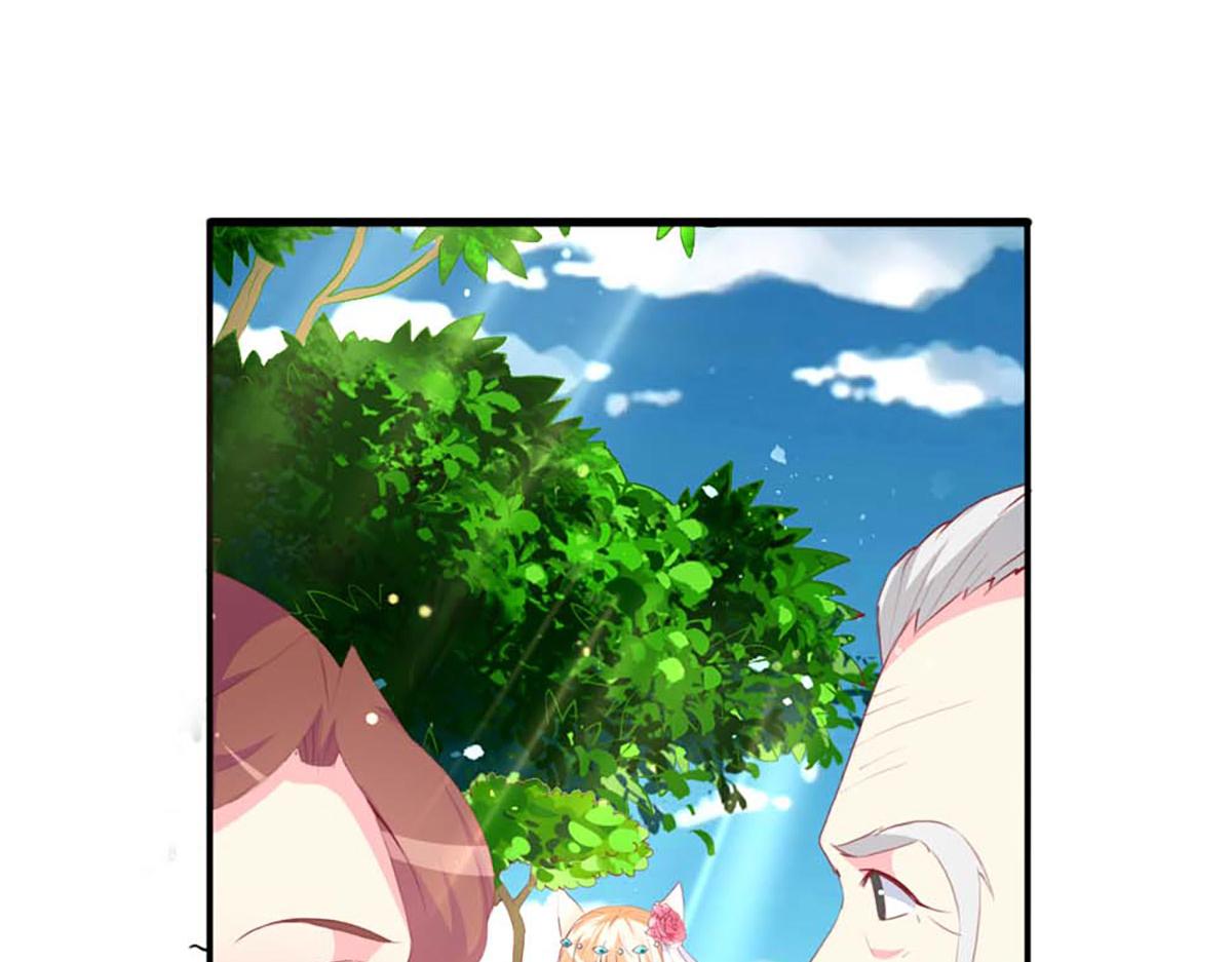 第 135 页