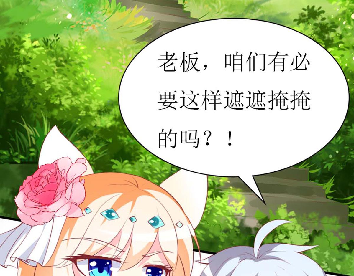 第 71 页
