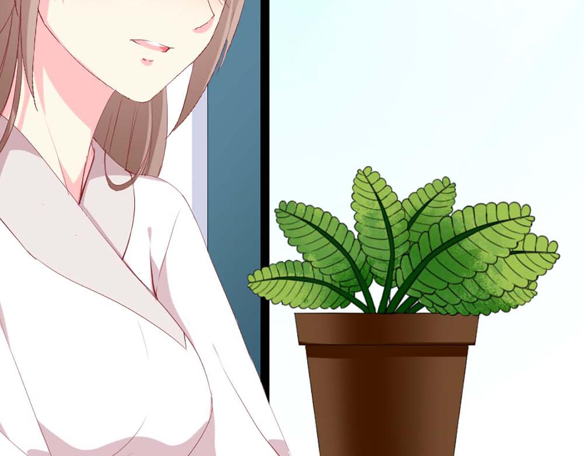 第 97 页