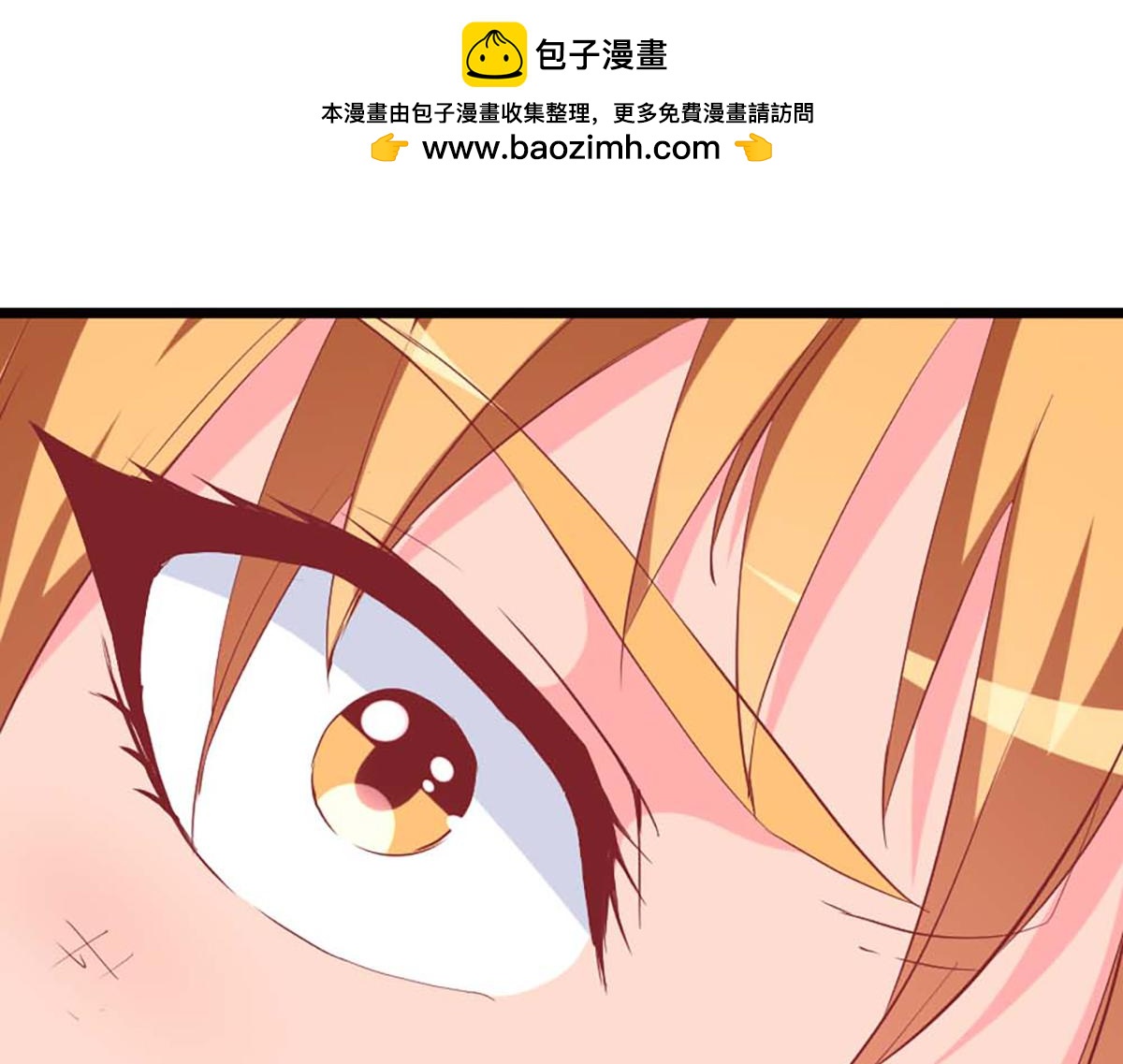 第 106 页
