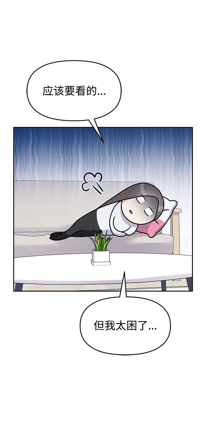 第 54 页