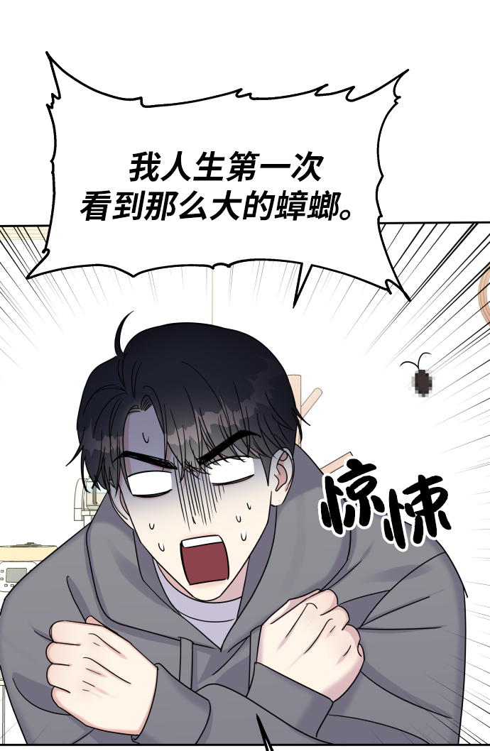 第 53 页