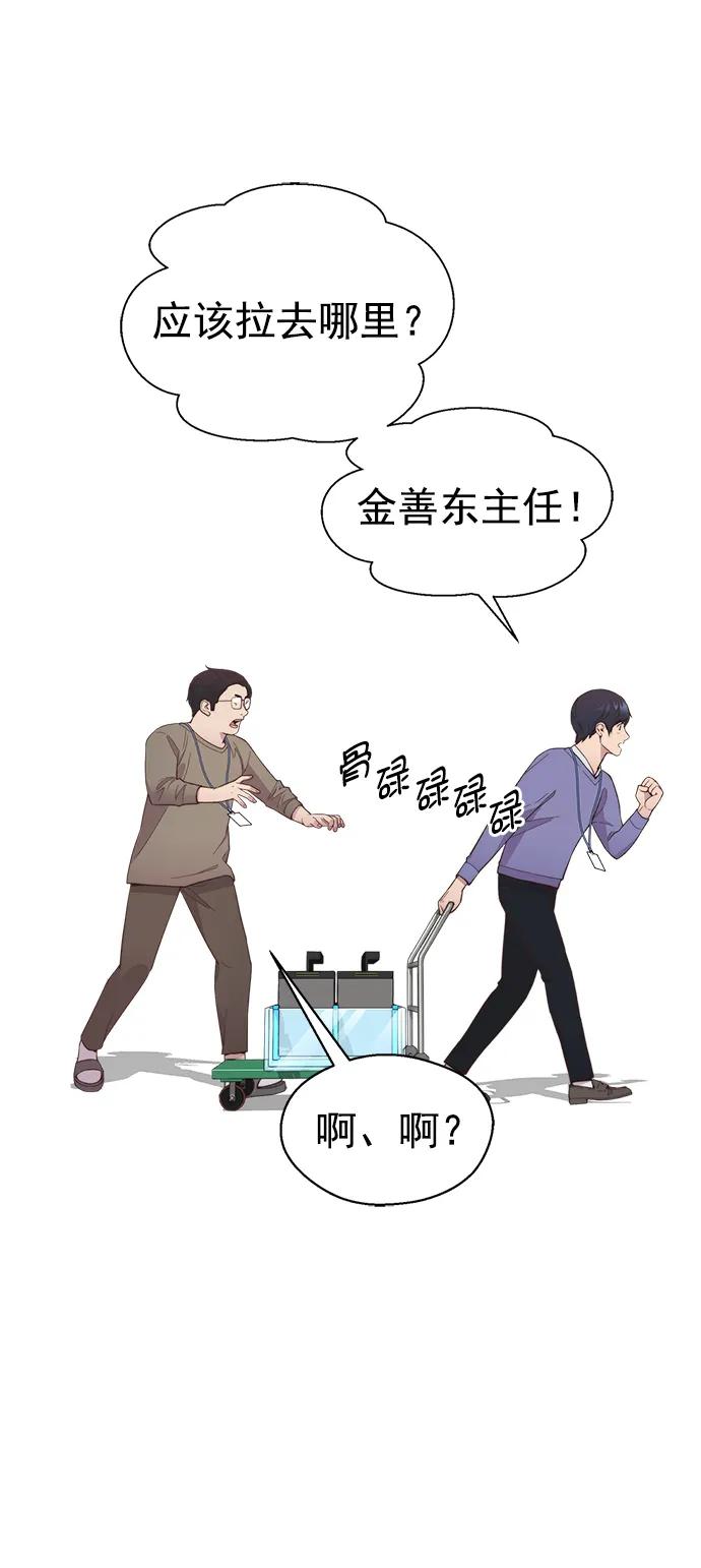第 51 页