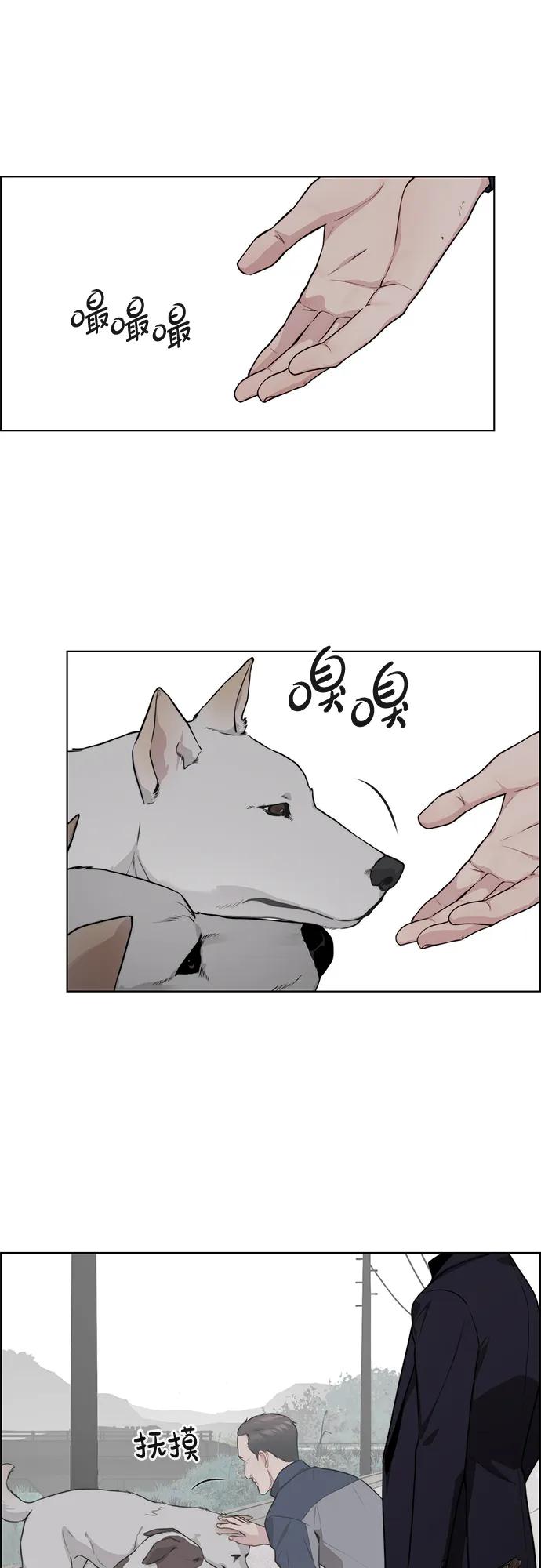第 41 页