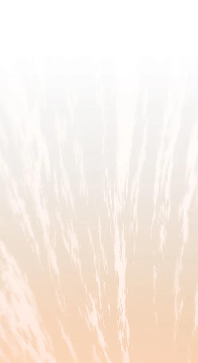 第 106 页