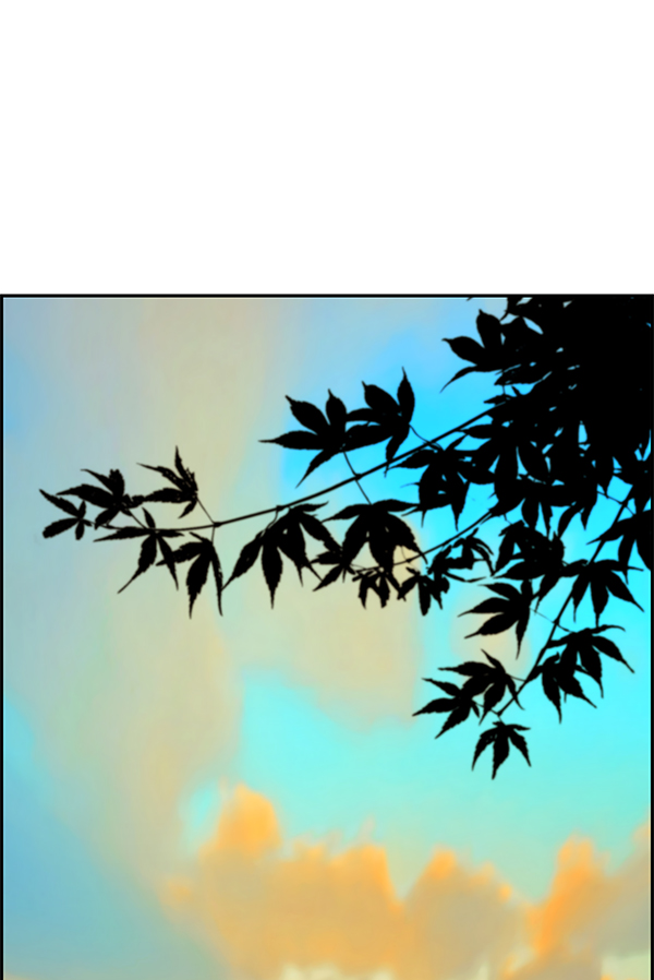 第 115 页