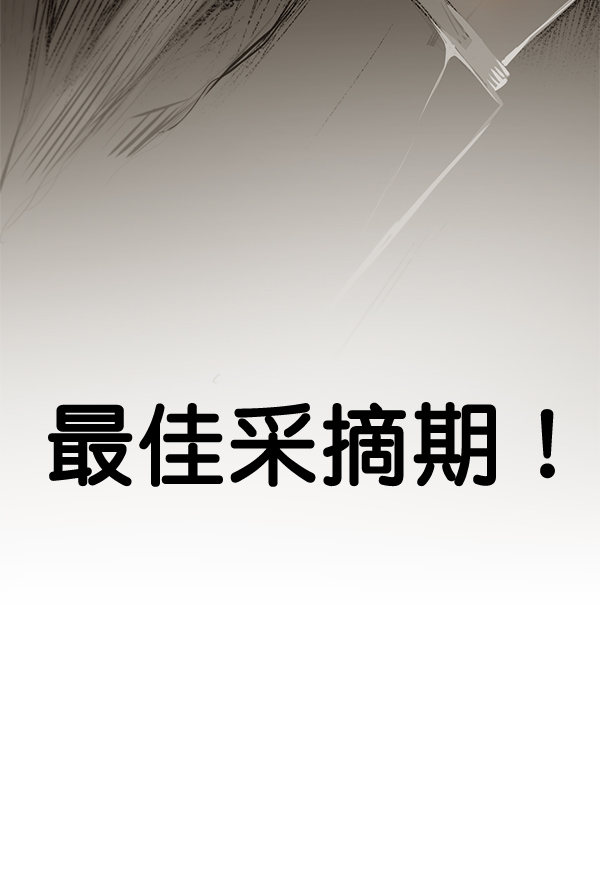 第 104 页