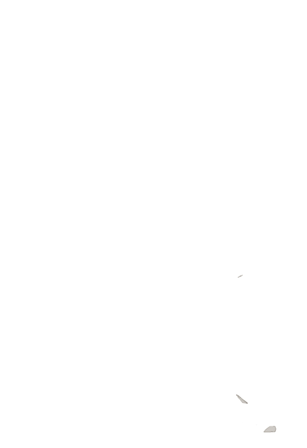 第 111 页